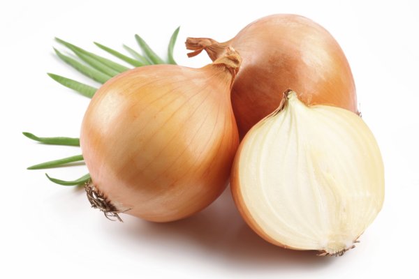 Kraken tor onion